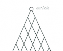 Ant hole.